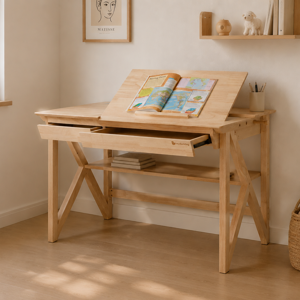 NALA Pro Study Desk With Easel