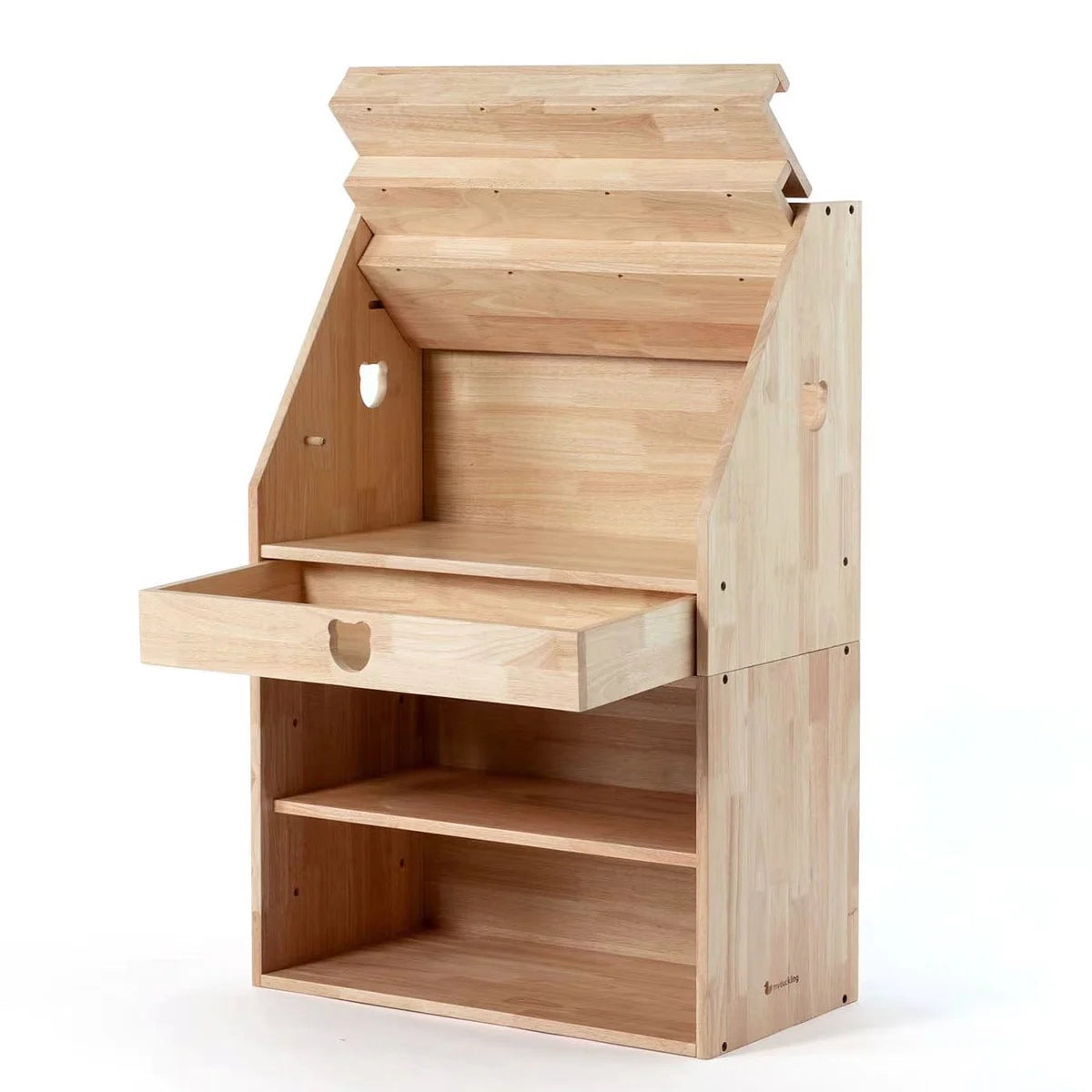 EVE Solid Wood Display Bookcase